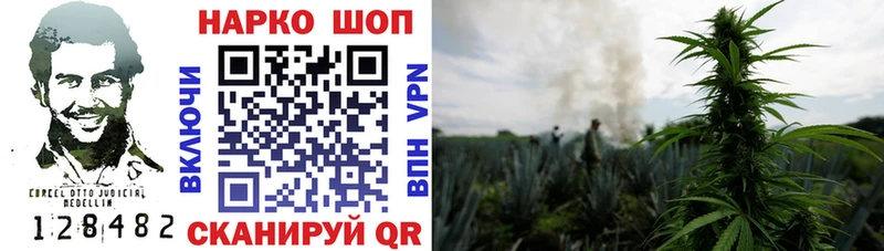 Хочу наркоту Кингисепп Кокаин  МАРИХУАНА  Alpha-PVP  ГАШИШ  Меф 