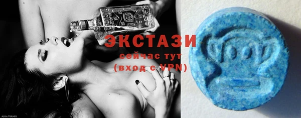 прущие грибы Елабуга