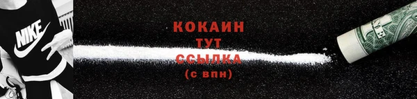прущие грибы Елабуга