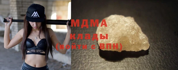 прущие грибы Елабуга