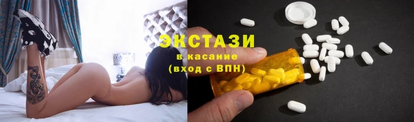 прущие грибы Елабуга