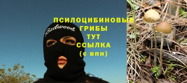 прущая мука Дмитровск