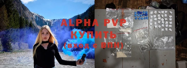 прущие грибы Елабуга