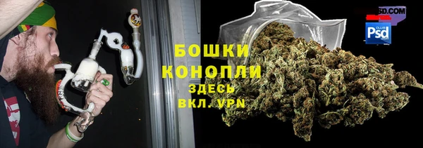 ГАЛЛЮЦИНОГЕННЫЕ ГРИБЫ Санкт-Петербург