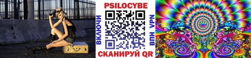 купить сайты Кингисепп МЕГА зеркало Галлюциногенные грибы Magic Shrooms