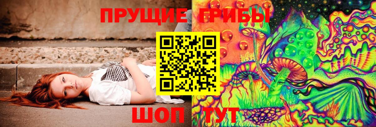 Псилоцибиновые грибы MAGIC MUSHROOMS Кингисепп