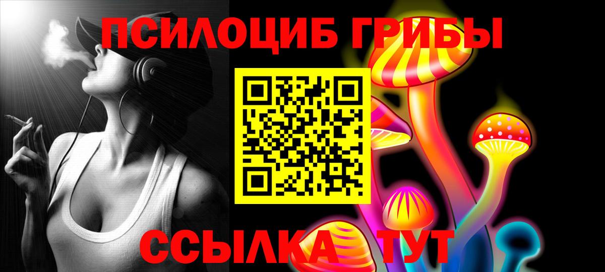 закладка  Вход с VPN  Кингисепп  Псилоцибиновые грибы Cubensis 
